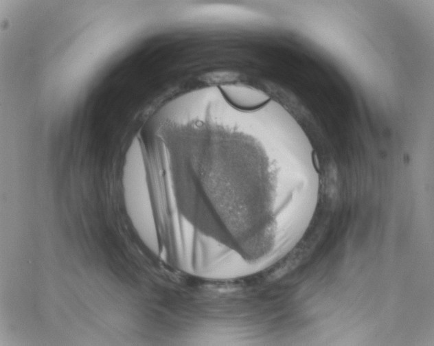 X0000064740763200603131318