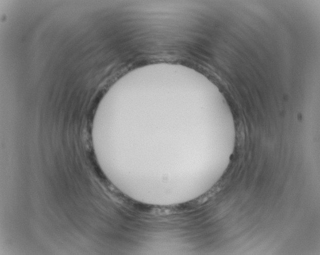 X0000064740764200603131318