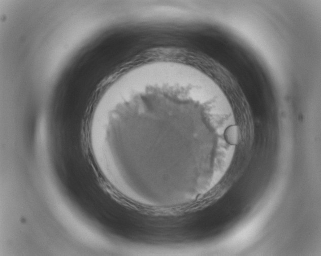 X0000064740765200603131318