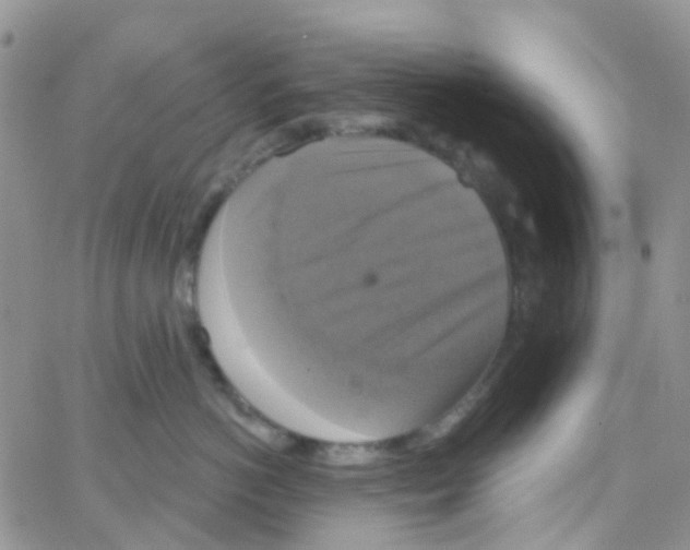 X0000064740766200603131318