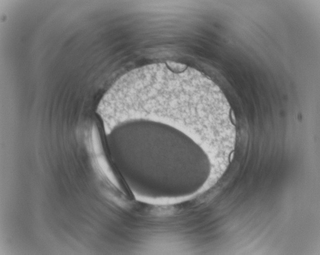 X0000064740767200603131318