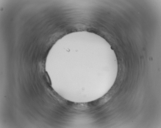 X0000064740768200603131318