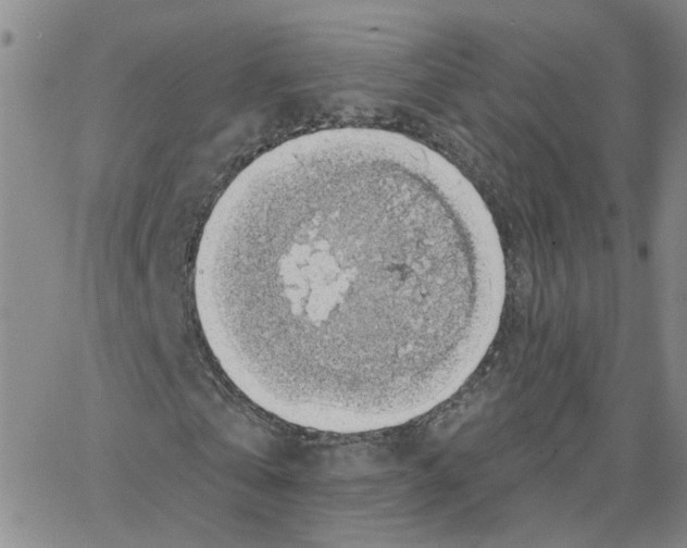 X0000064740769200603131317