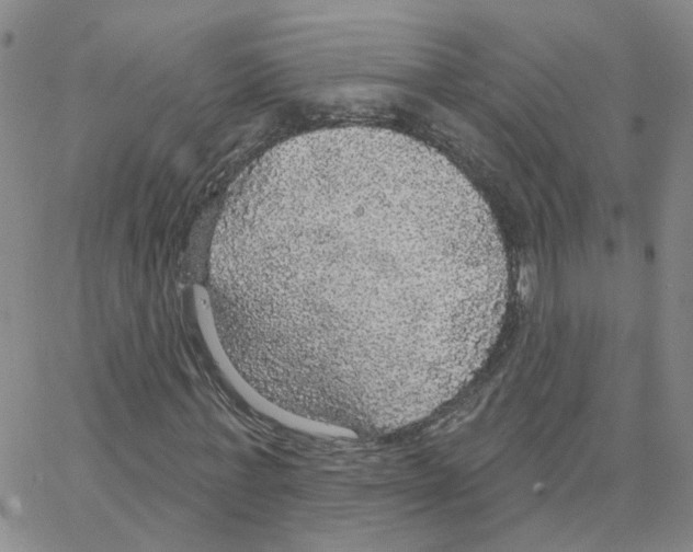 X0000064740771200603131317