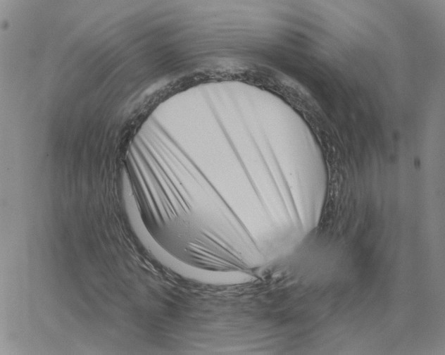 X0000064740773200603131317