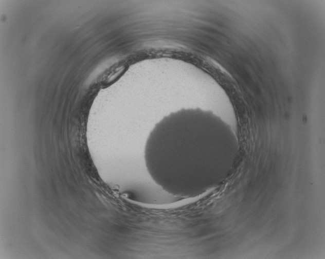 X0000064740775200603131317