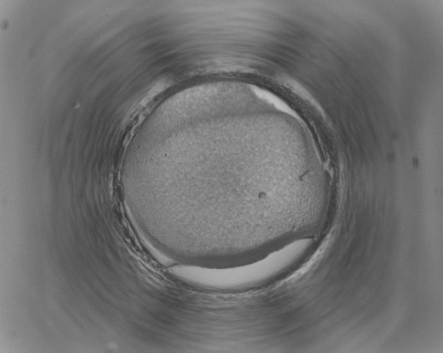 X0000064740777200603131317