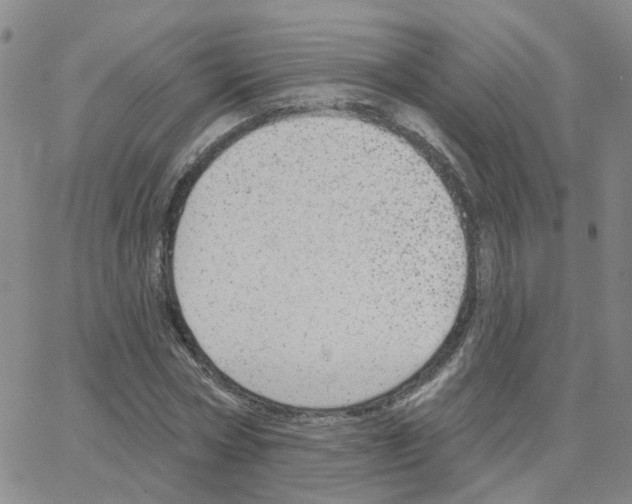 X0000064740778200603131317