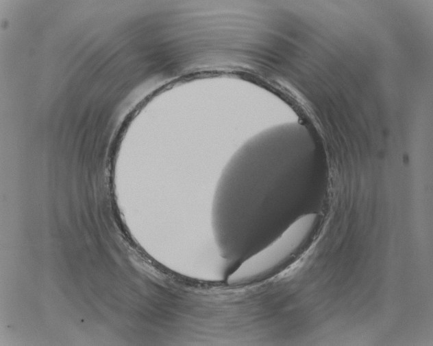 X0000064740779200603131317