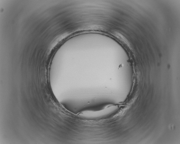 X0000064740781200603131317