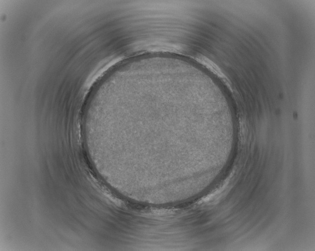 X0000064740782200603131317