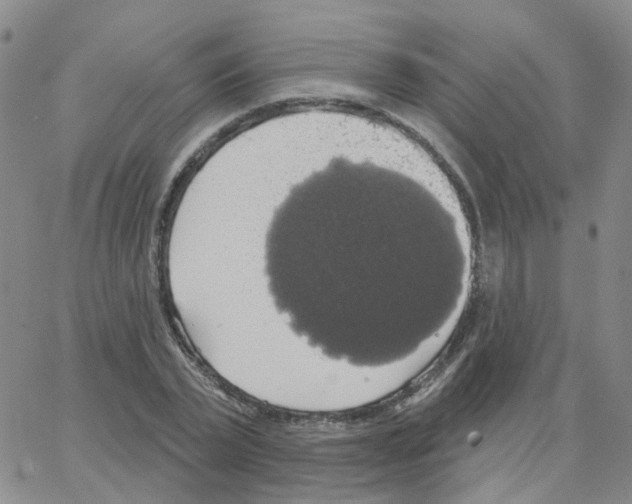 X0000064740783200603131317