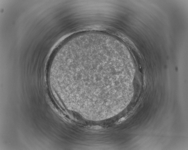 X0000064740784200603131317