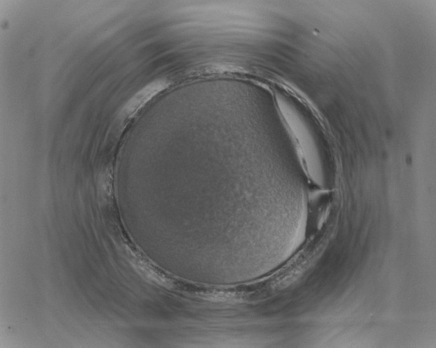 X0000064740785200603131317