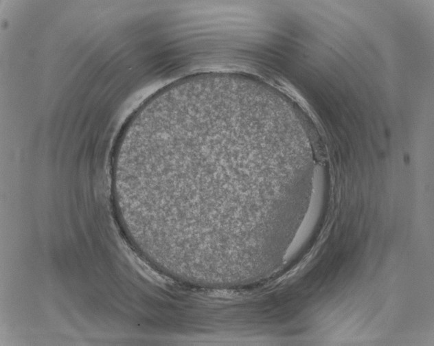 X0000064740787200603131317