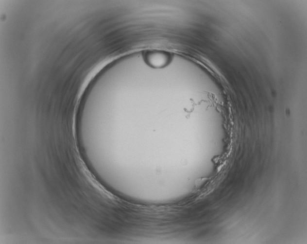 X0000064740788200603131317