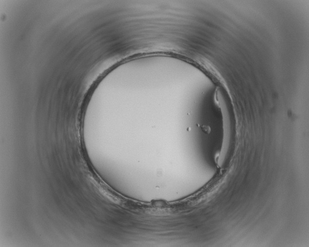 X0000064740789200603131317