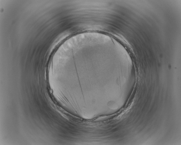 X0000064740790200603131317