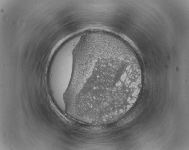 X0000064740791200603131317