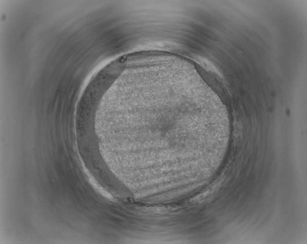 X0000064740792200603131317