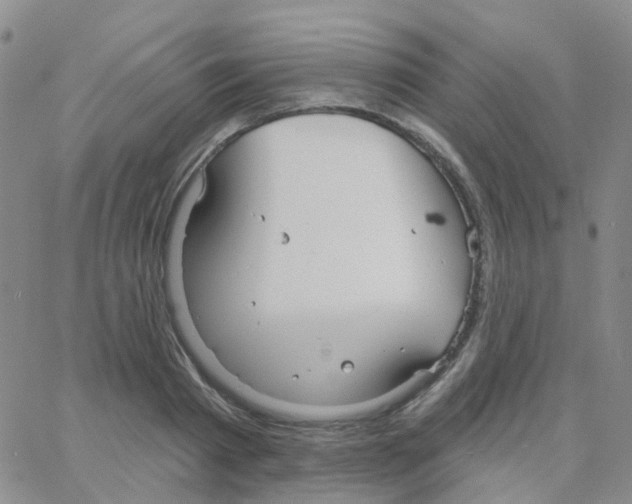 X0000064740793200603131317