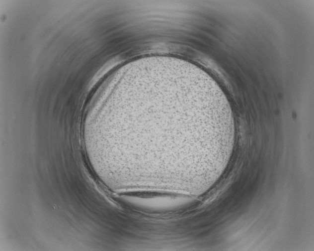 X0000064740794200603131317