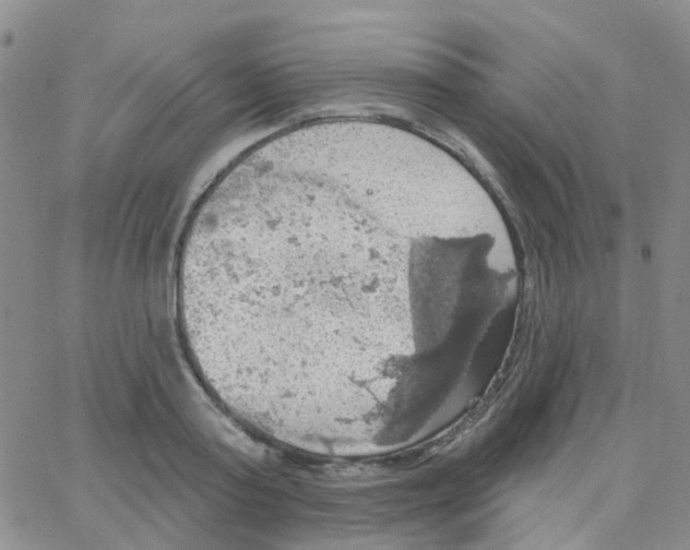 X0000064740795200603131317