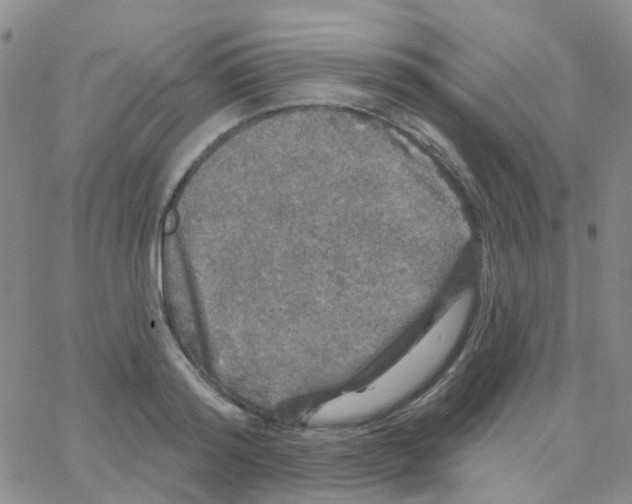 X0000064740796200603131317