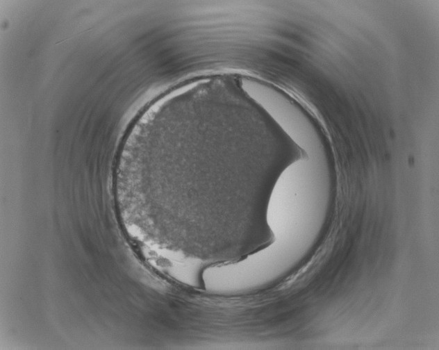 X0000064740797200603131317