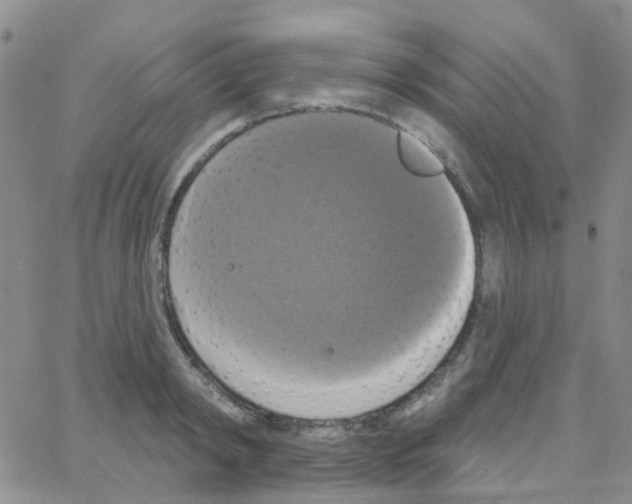 X0000064740798200603131317