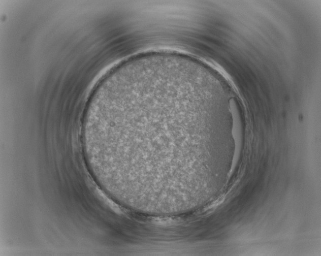 X0000064740799200603131317