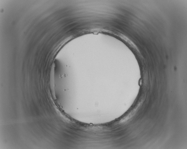 X0000064740801200603131317