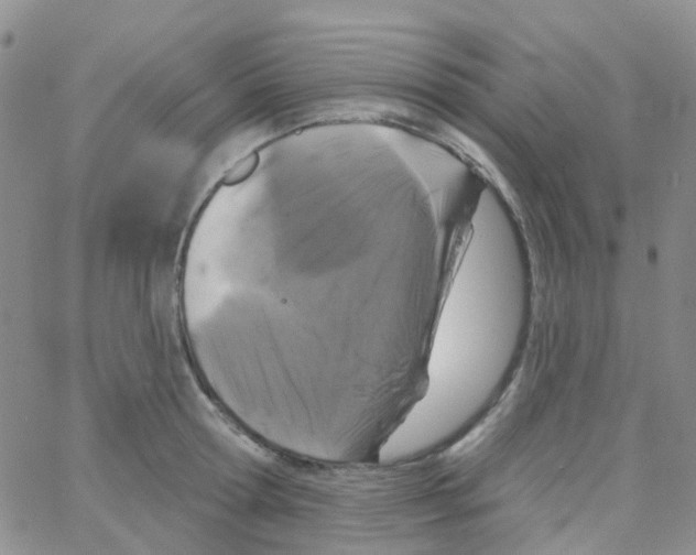 X0000064740802200603131317