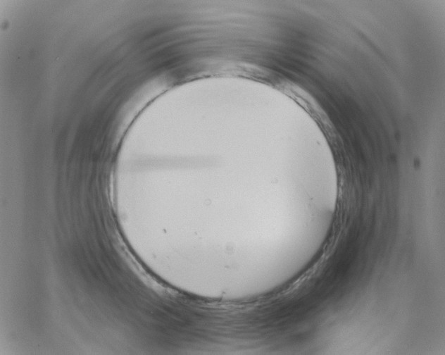 X0000064740804200603131317