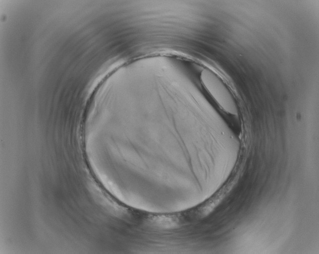 X0000064740806200603131317