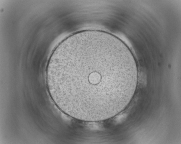 X0000064740807200603131317