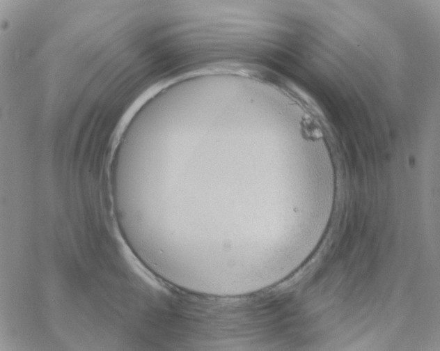 X0000064740808200603131317