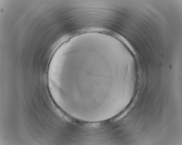 X0000064740810200603131317