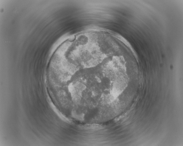 X0000064740811200603131317