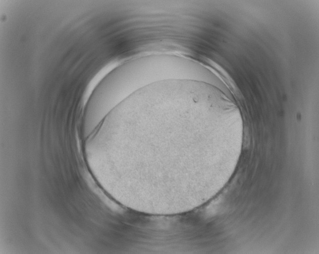 X0000064740812200603131317