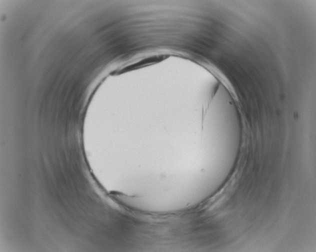 X0000064740813200603131317