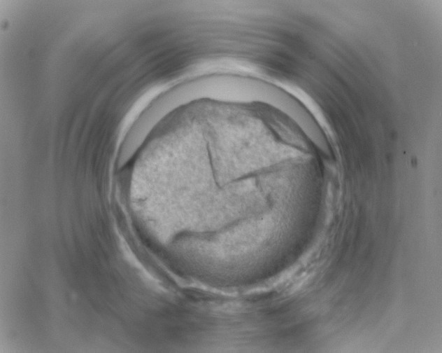 X0000064740815200603131317