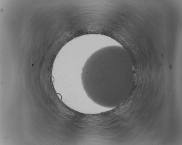 X0000064740817200603131316