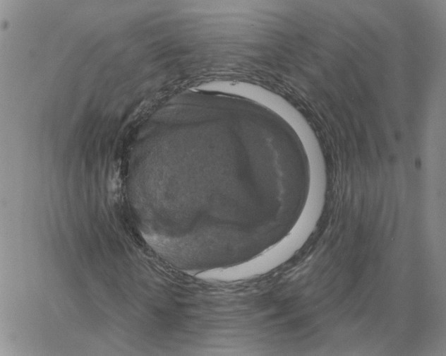 X0000064740818200603131316