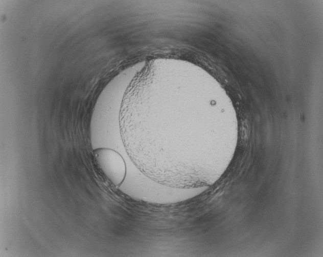 X0000064740820200603131316