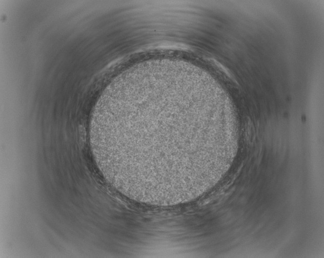 X0000064740821200603131316