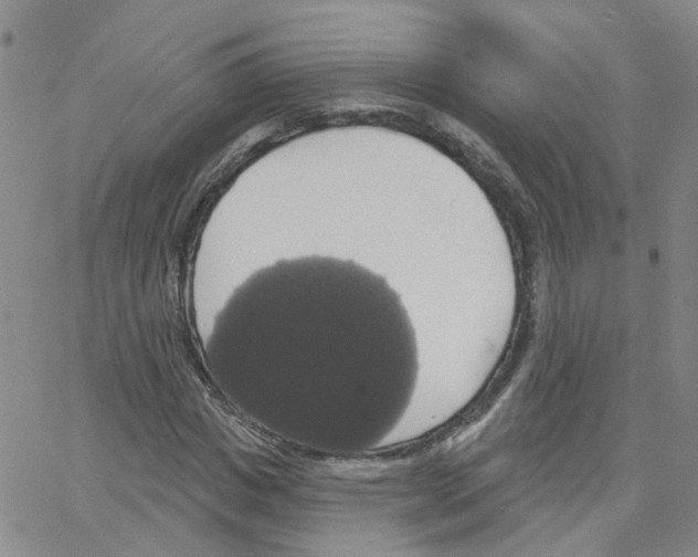 X0000064740825200603131316