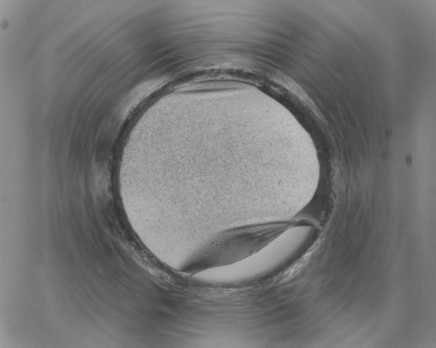 X0000064740826200603131316