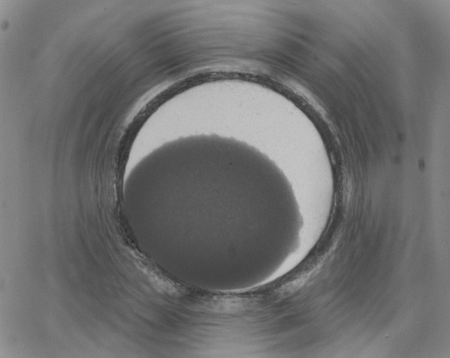 X0000064740829200603131316