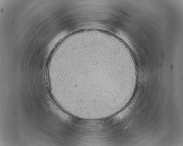 X0000064740832200603131316